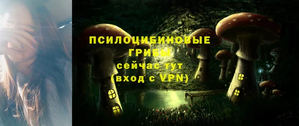 синтетический гашиш Арсеньев