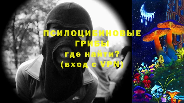 ALPHA PVP Новозыбков