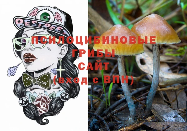 синтетический гашиш Арсеньев