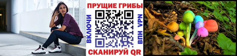 где купить наркоту  Мирный  Галлюциногенные грибы ЛСД 