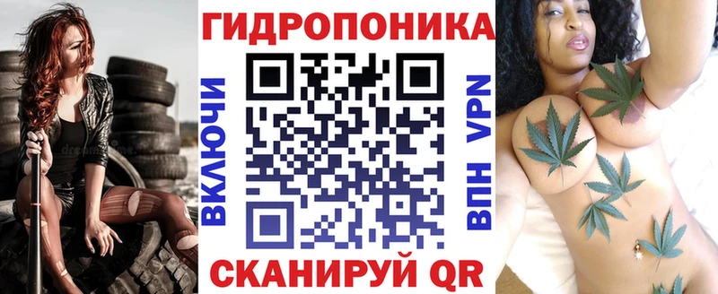 купить наркотик  Мирный  Марихуана ГИДРОПОН 